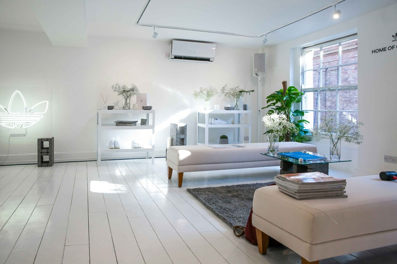 Un interior de habitación blanco brillante | lemjas